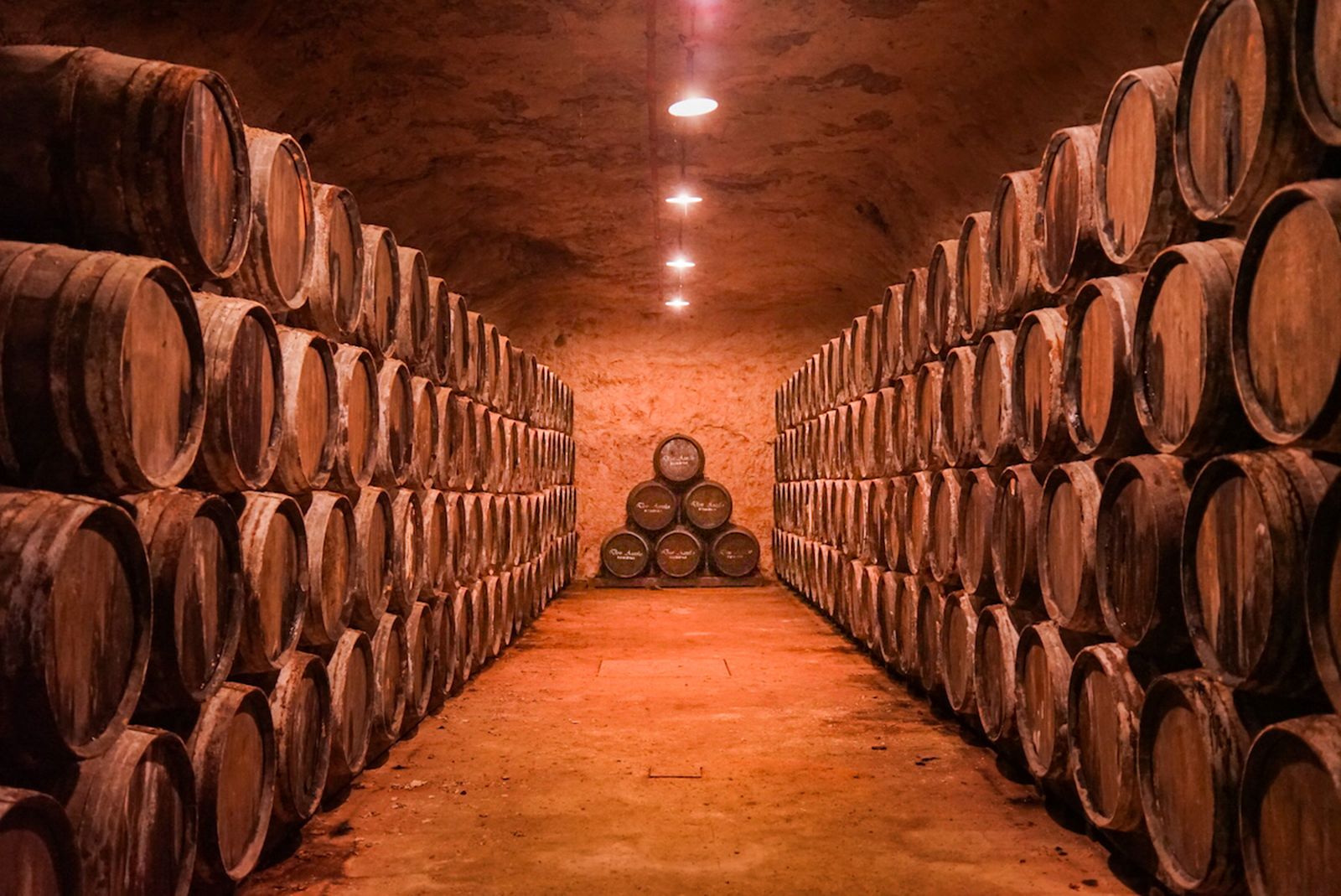 valdepenas antigua bodega los llanos cueva barricas